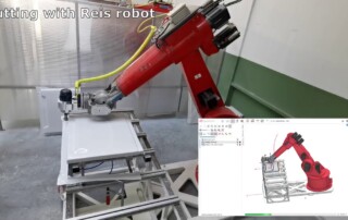 Reis robot cutting